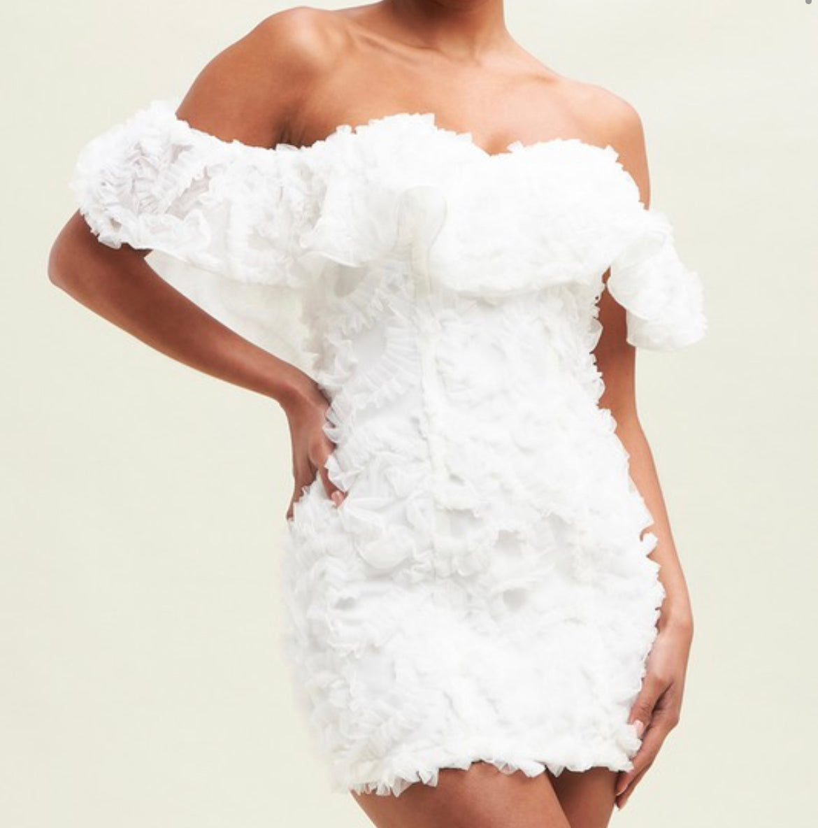 Pure 3D Tulle Dress