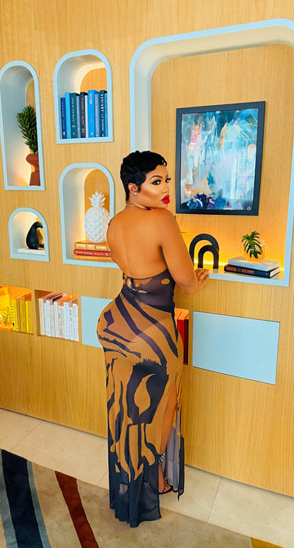 Dangerous Beauty Sheer Dress