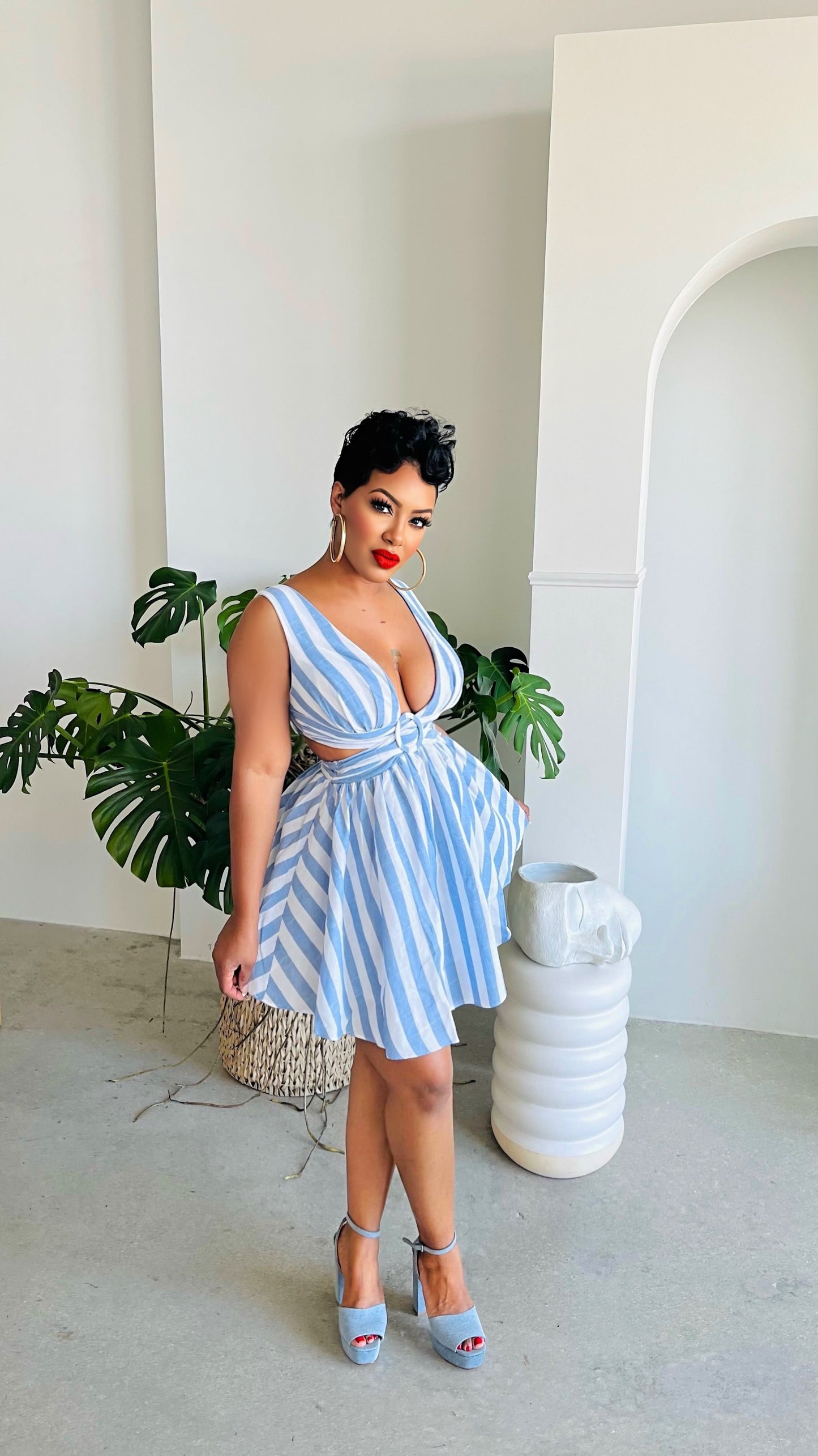 Denim Lines Skater Dress