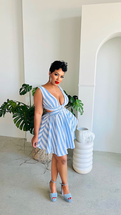 Denim Lines Skater Dress