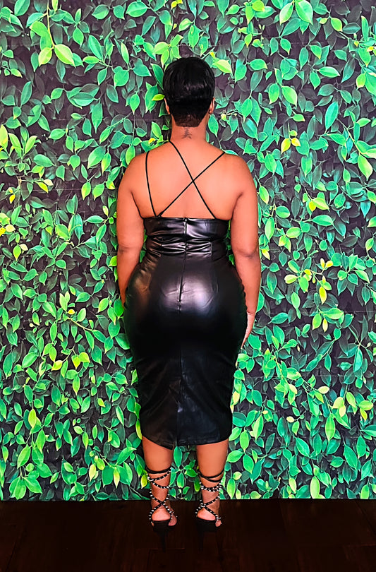 Sherry Leather Pencil Dress