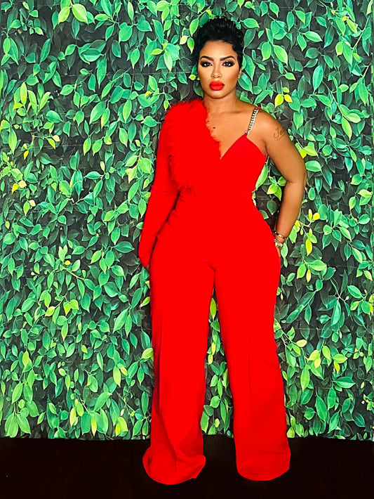 Feathered Up Jumpsuit