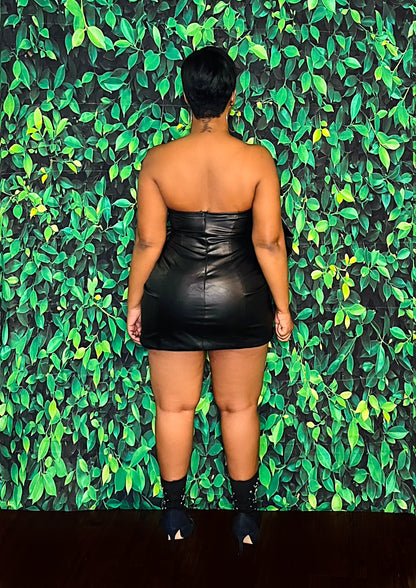 Bows & Leather Mini Dress