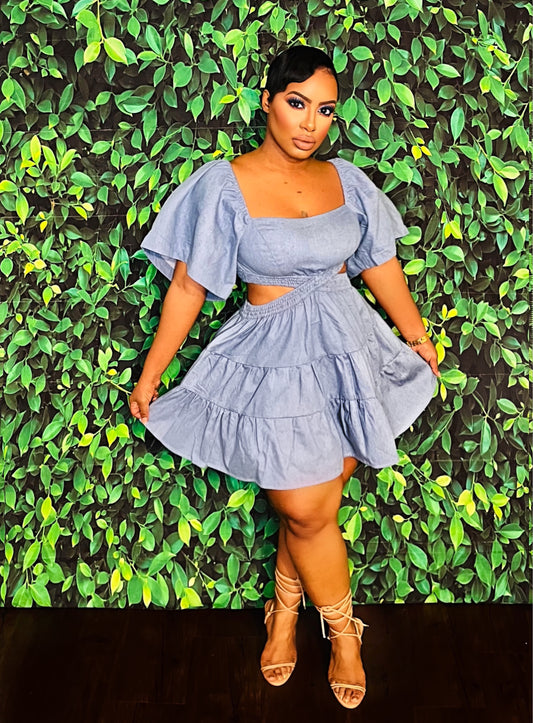 Denim Love Skater Dress