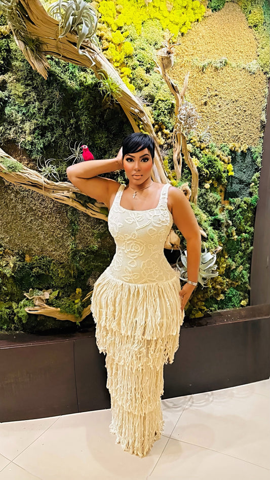 Enhanced Beauty Fringe Dress
