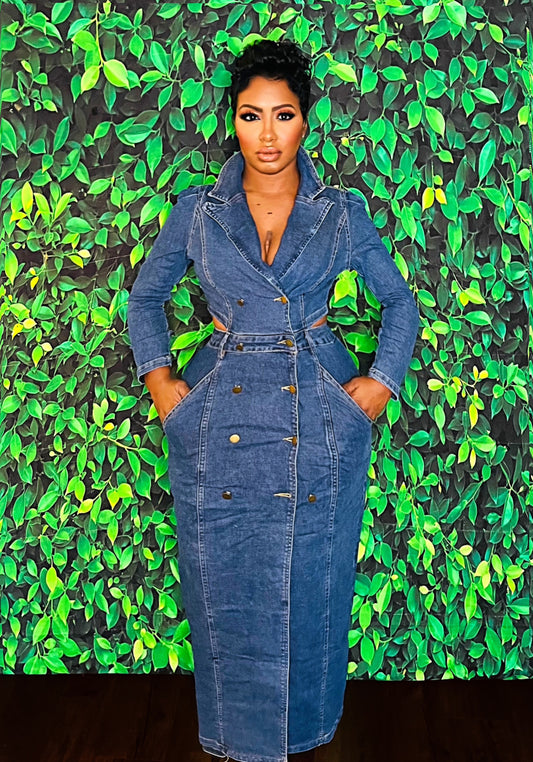 Tracy Denim Trench Dress