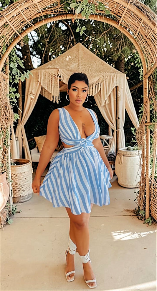 Denim Lines Skater Dress