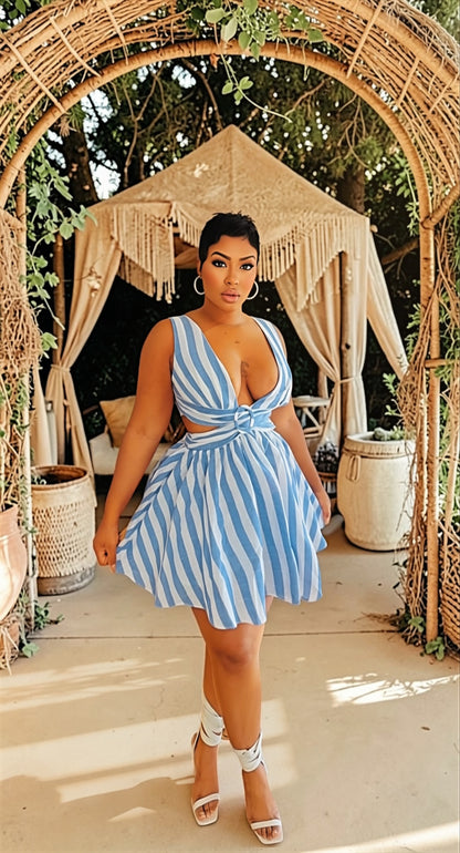 Denim Lines Skater Dress