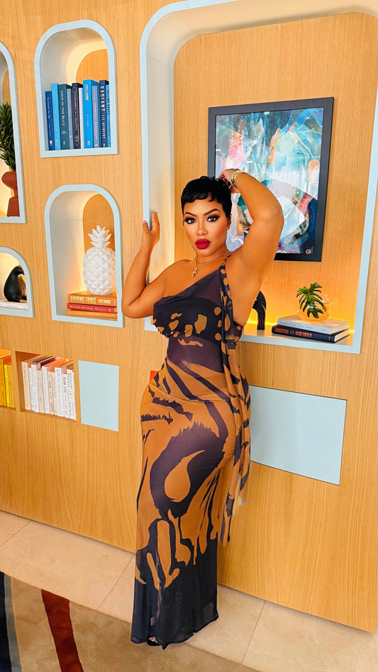 Dangerous Beauty Sheer Dress