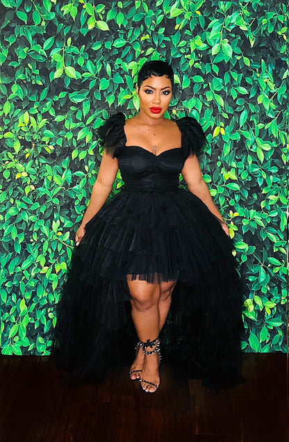 Special Occassion Tulle Dress