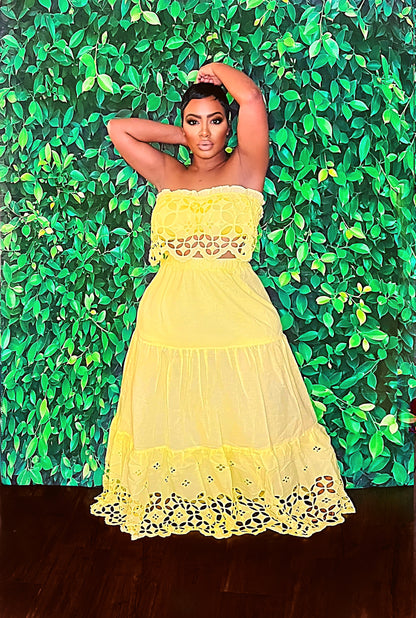 Sassy Embroidery Skirt Set